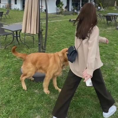 陪审团十二人第二季